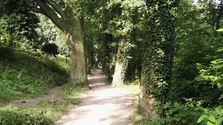 Weg am Arendsee Weg am Arendsee
