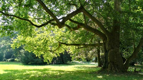 Milde-Biese-Tour Schlosspark Krumke