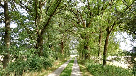Milde-Biese-Tour Milde-Biese-Tour