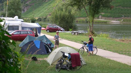 Campingplatz Pünderich Moselradweg Campingplatz Pünderich Moselradweg