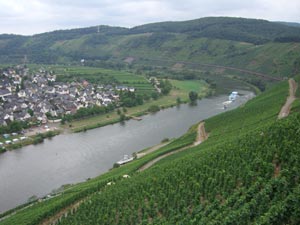 Blick von der Marienburg Blick von der Marienburg