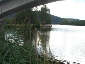 Saarmündung bei Konz