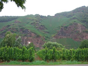 Weinberge an der Mosel Weinberge an der Mosel