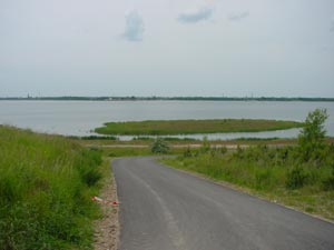Goitzsche