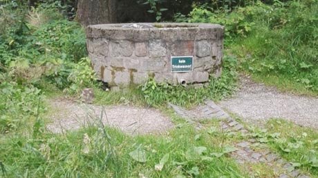 Quelle der Zwickauer Mulde