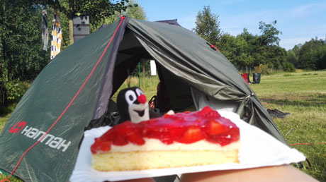 Camper-Frühstück mit Erdbeerkuchen