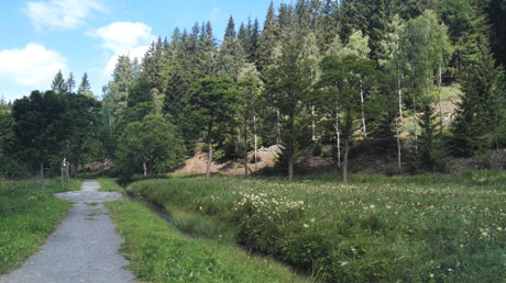 Mulde-Radweg Mulde-Radweg
