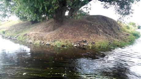 Vereinigung Freiberger und Zwickauer Mulde