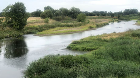 Mulde vor Bad Düben Mulde vor Bad Düeben