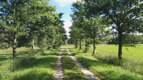 Mulde-Radweg an der Zwickauer Mulde