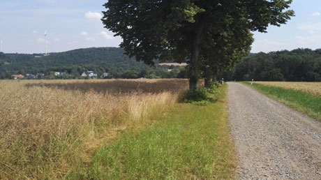 Mulderadweg