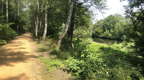 Mulderadweg Cainsdorf