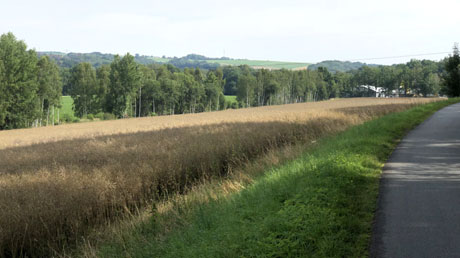 Mulde-Radweg