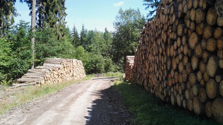 Radweg Freiberger Mulde Radweg Freiberger Mulde