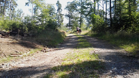 Radweg Freiberger Mulde Radweg Freiberger Mulde