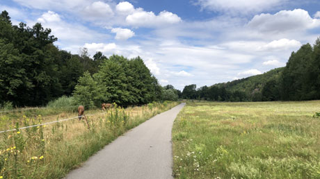 Radweg Freiberger Mulde Radweg Freiberger Mulde