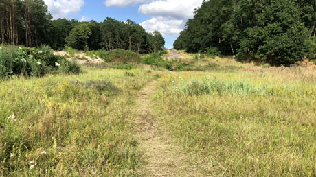 Mulderadweg Umleitung Mulderadweg Umleitung