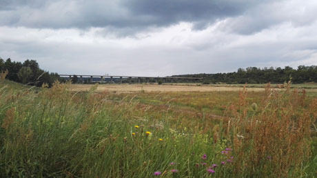 Mulde-Radweg Blick zum Einlauf Muldestausee Mulde-Radweg Blick zum Einlauf Muldestausee