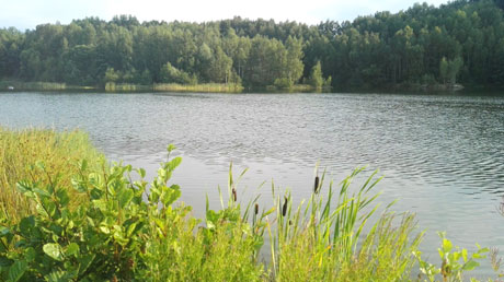 Stausee Oberwald