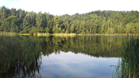 Stausee Oberwald