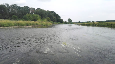 Vereinigung Freiberger und Zwickauer Mulde