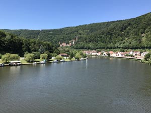 Neckar Neckar