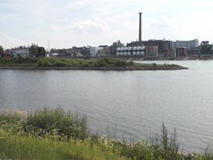 Neckar-Mündung Neckar-Mündung