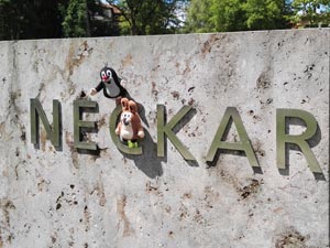 Neckarquelle