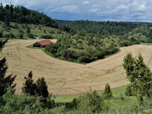 Ausblick vom Neckar-Radweg