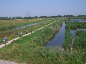 Radweg durch das Torfmoor Radweg durch das Torfmoor