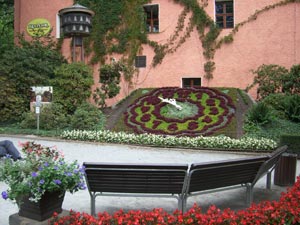 Blumenuhr mit Glockenspiel in Zittau Blumenuhr Glockenspiel in Zittau