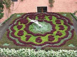Blumenuhr in Zittau Blumenuhr in Zittau