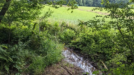 Oste-Quellgebiet Oste-Quellgebiet