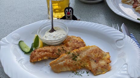 Fischessen Gasthaus Zum Elbblick Fischessen Gasthaus Zum Elbblick