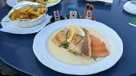 Fischteller Fischteller