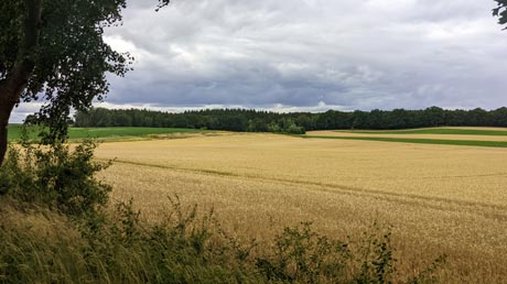 Landschaft Landschaft