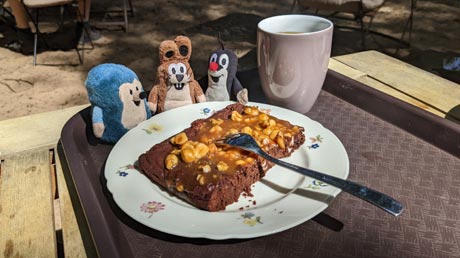 Oste-Cafe Eitzmühle: Nusskuchen Oste-Cafe Eitzmühle: Nusskuchen