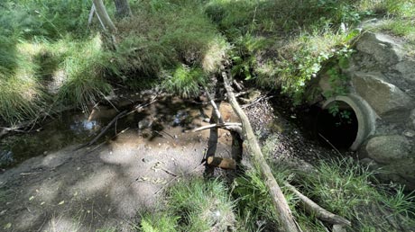 Oste-Quellgebiet Oste-Quellgebiet