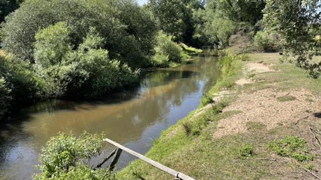 Oste Oste