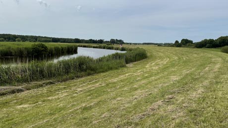 Oste Landschaft Oste Landschaft