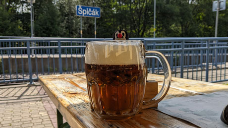 Nadra&zcaron;� restaurace &Scaron;pi&ccaron;�k