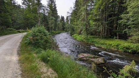 Regentalradweg bei Regenhütte