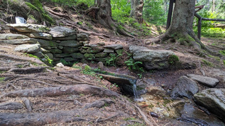 Regenquelle Pramen &Rcaron;ezn�