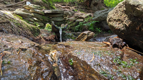 Regenquelle Pramen &Rcaron;ezn�