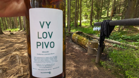 Regenquelle Pramen &Rcaron;ezn�