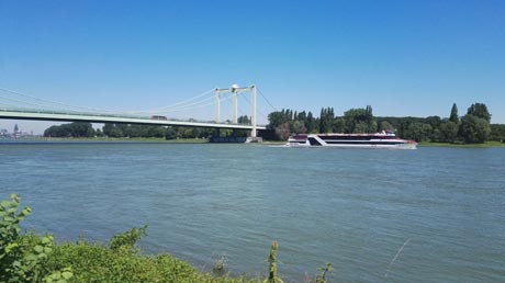 Rheinradweg Rheinradweg