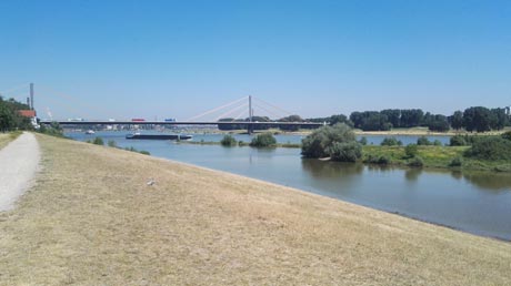Rhein-Radweg Rhein-Radweg