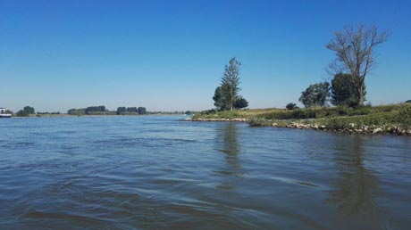 Rhein von der Fähre