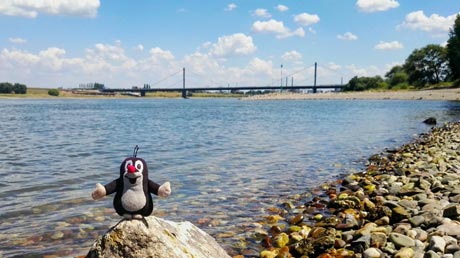 Rhein am Campingplatz