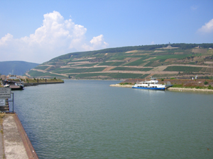 Fährüberfahrt nach Rüdesheim Fährüberfahrt nach Rüdesheim